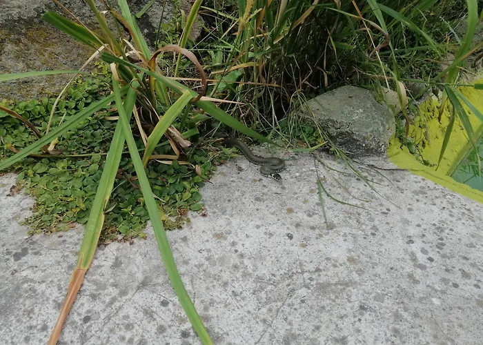 Agroturystyka Klimaty Poleskiego Parku