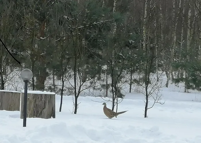 Agroturystyka Klimaty Poleskiego Parku