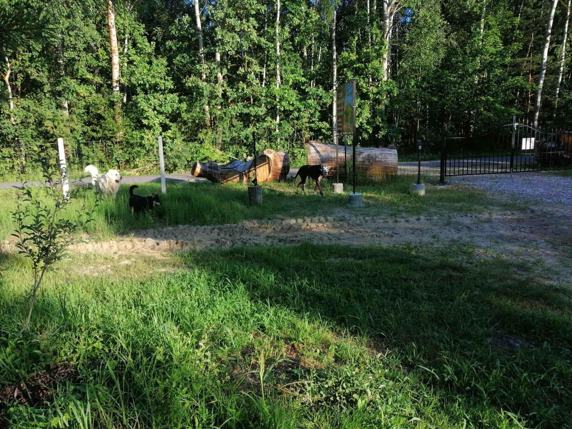 Klimaty Poleskiego Parku Apartment Cycow