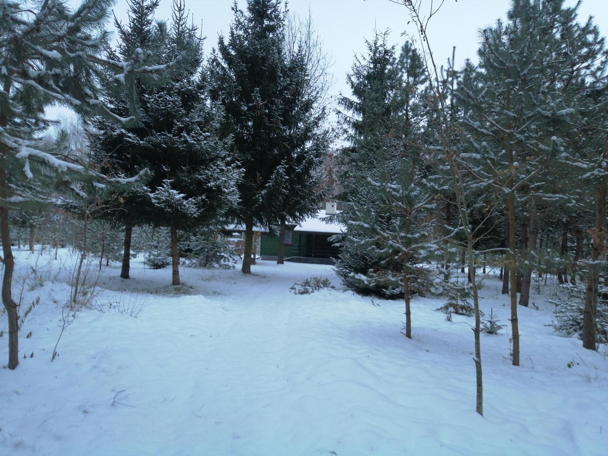 Klimaty Poleskiego Parku * Cycow